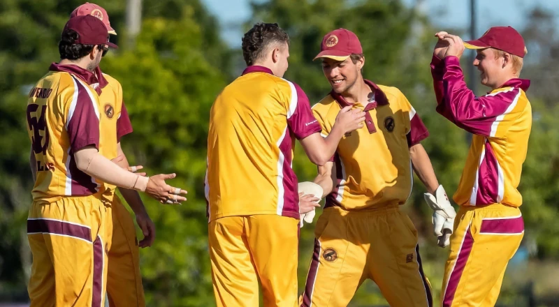 Senior cricket teams for senior male and senior female teams across most grades.